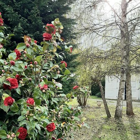 The Cottage San Maurizio D'opaglio エクステリア 写真